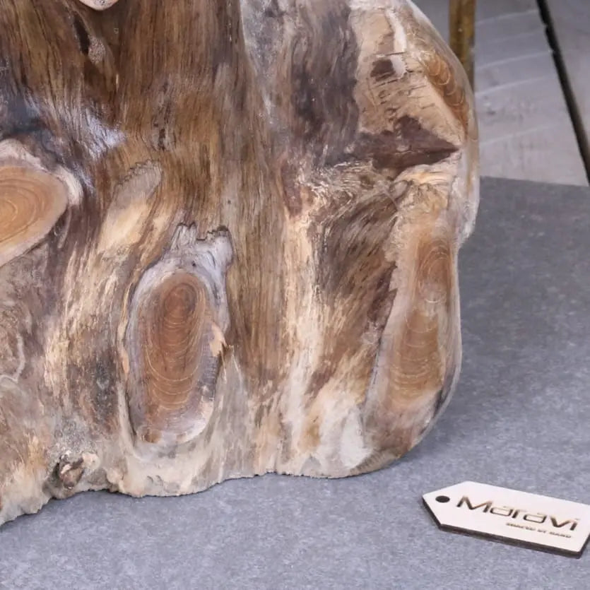 Tree Root Side Table Plant Stand