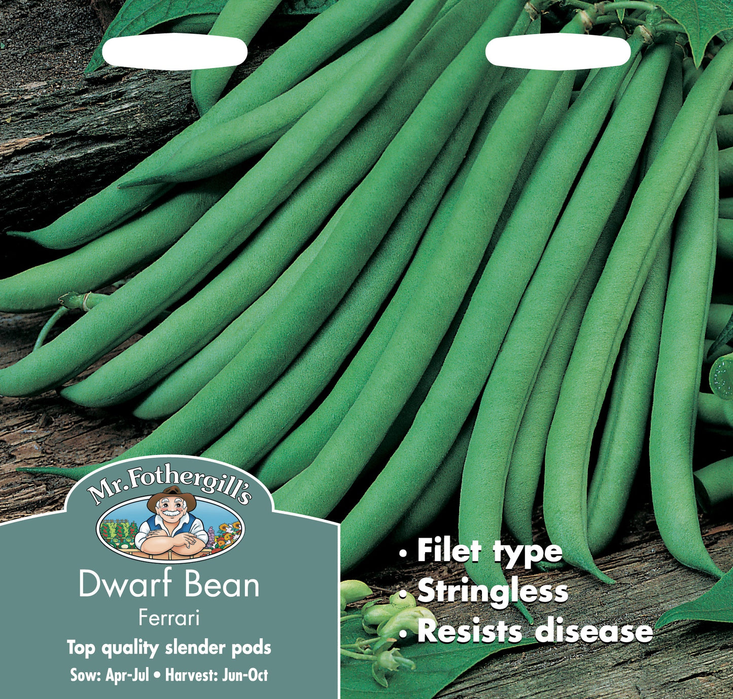 Dwarf French Bean Ferrari 100 Seeds