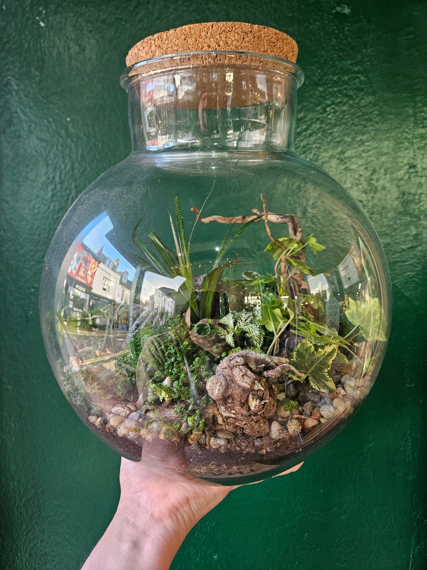Globe Terrarium -3 Sizes Available