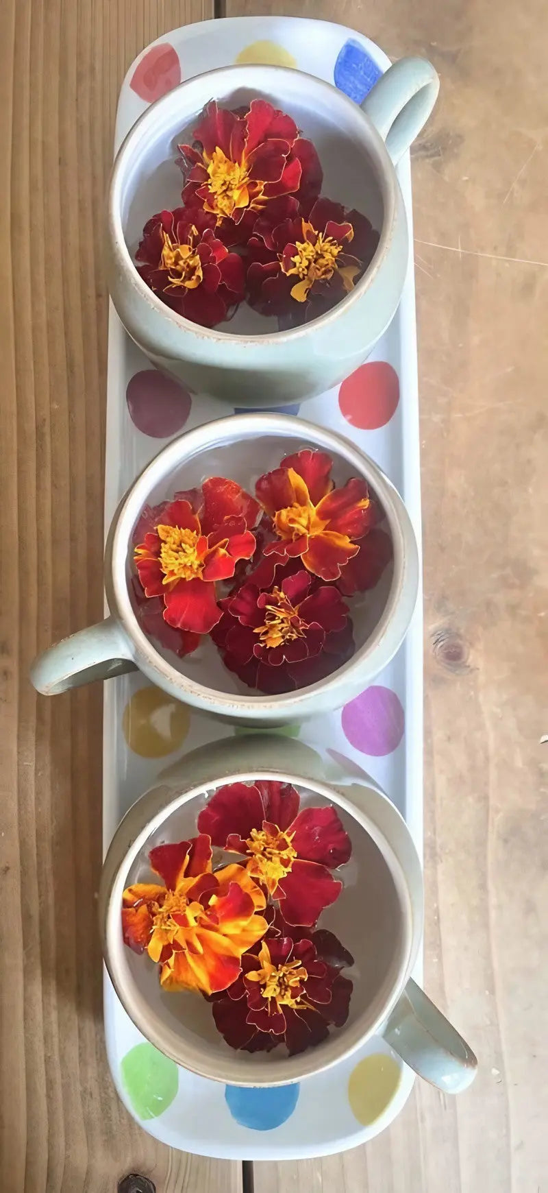 French Marigold Red Cherry
