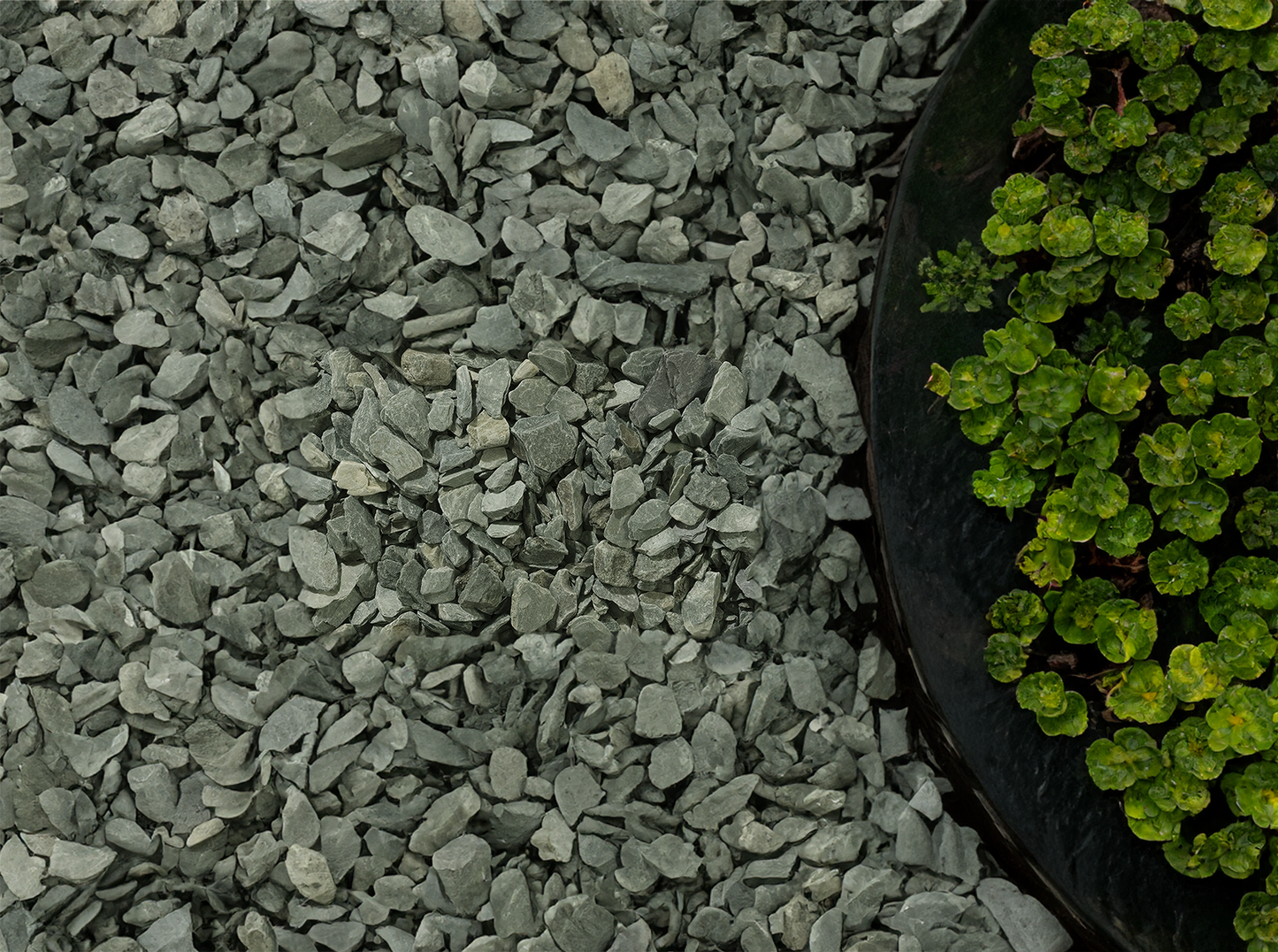 20mm Green Slate Chippings