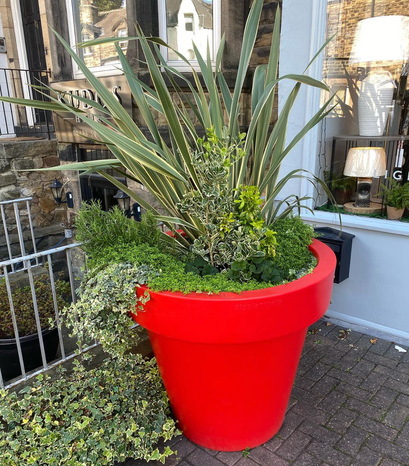 The 'Biggie' Plant Pot