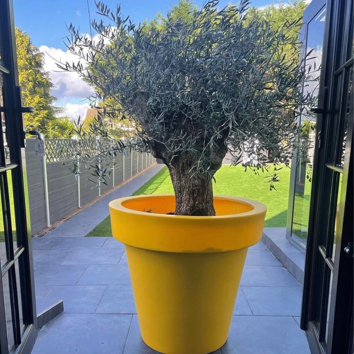 The 'Biggie' Plant Pot