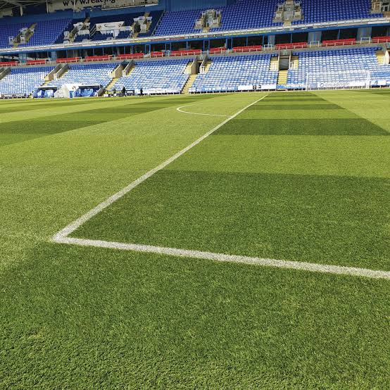 PM 81 Premier Renovation – Elite Sports‑Pitch & Stadium Grass Seed Mix