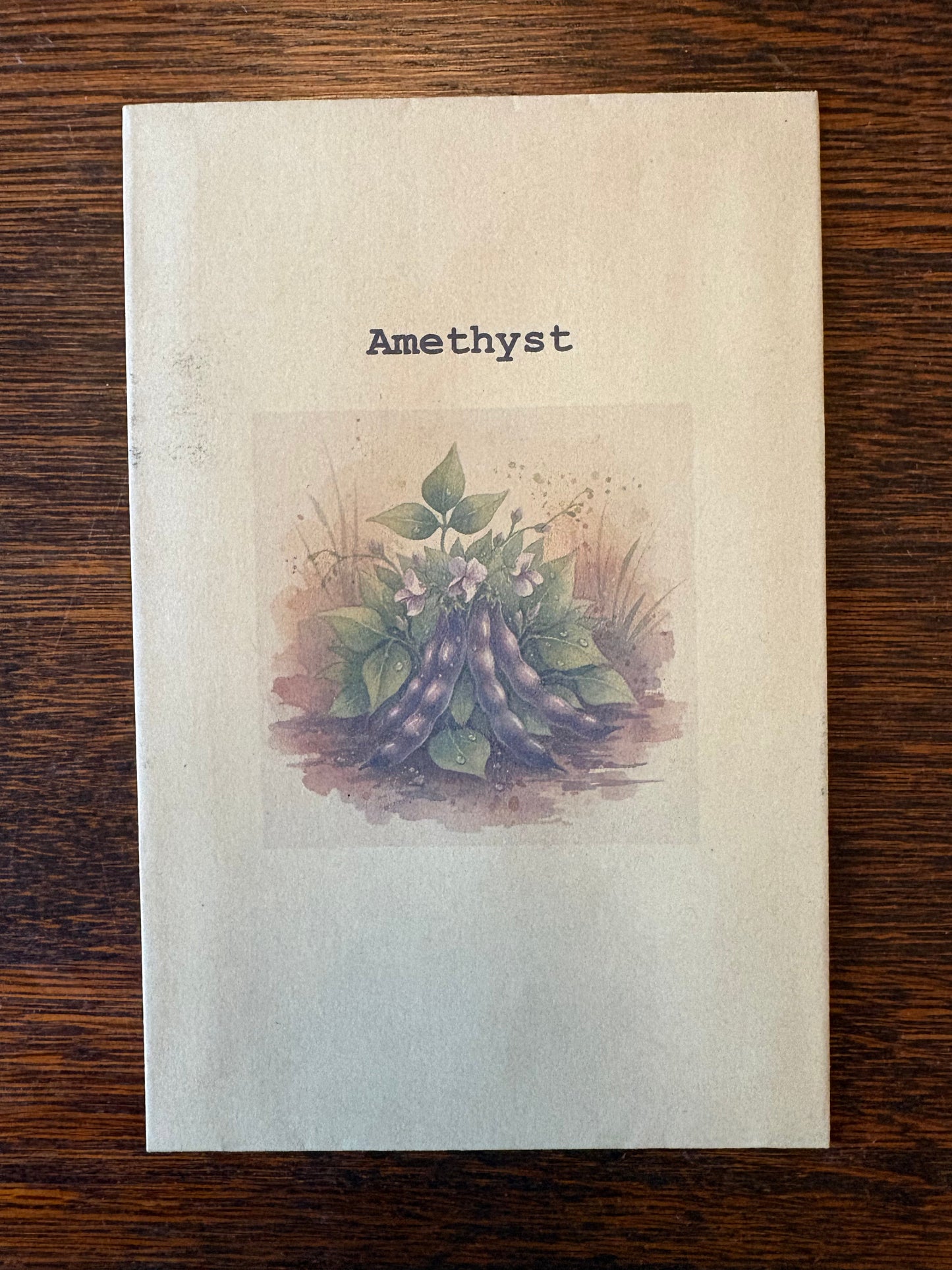 Dwarf French Bean Seeds - Amethyst - Purple Stringless Gourmet Variety