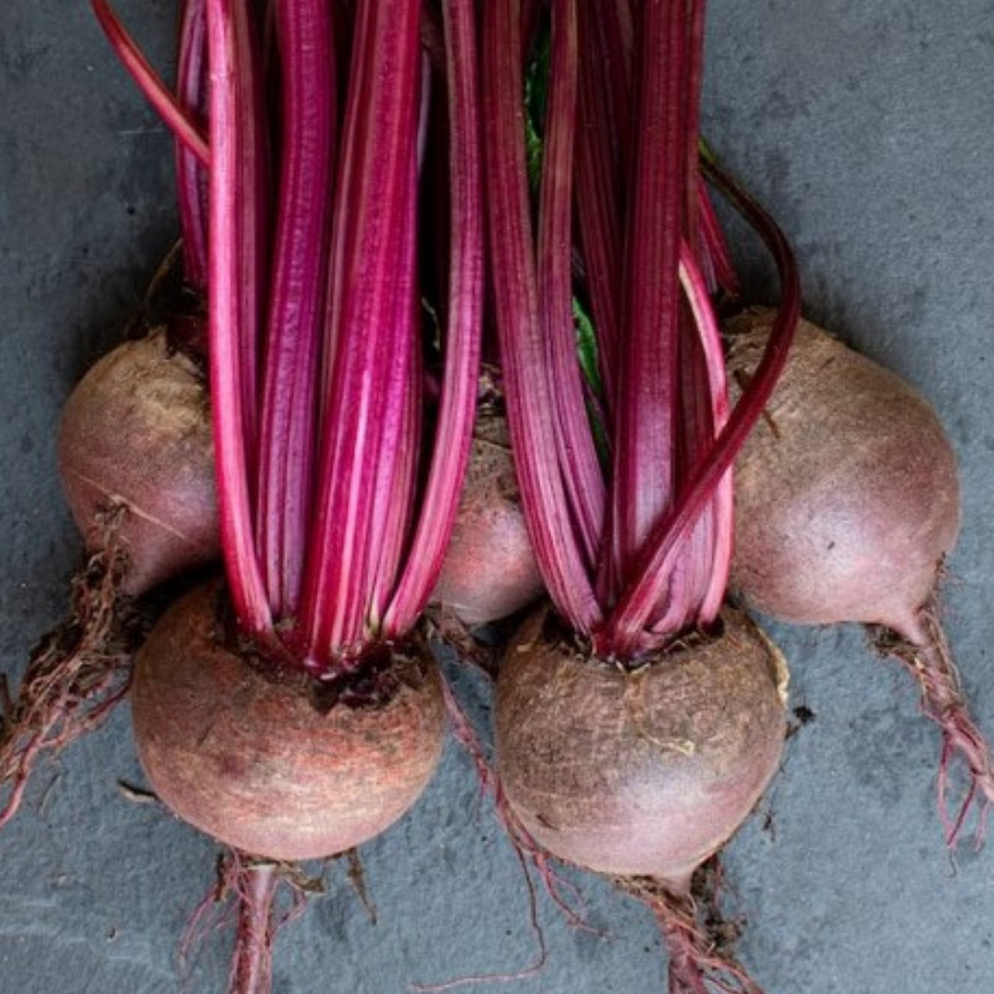 Beetroot Detroit 200 Seeds by Meldon Seeds