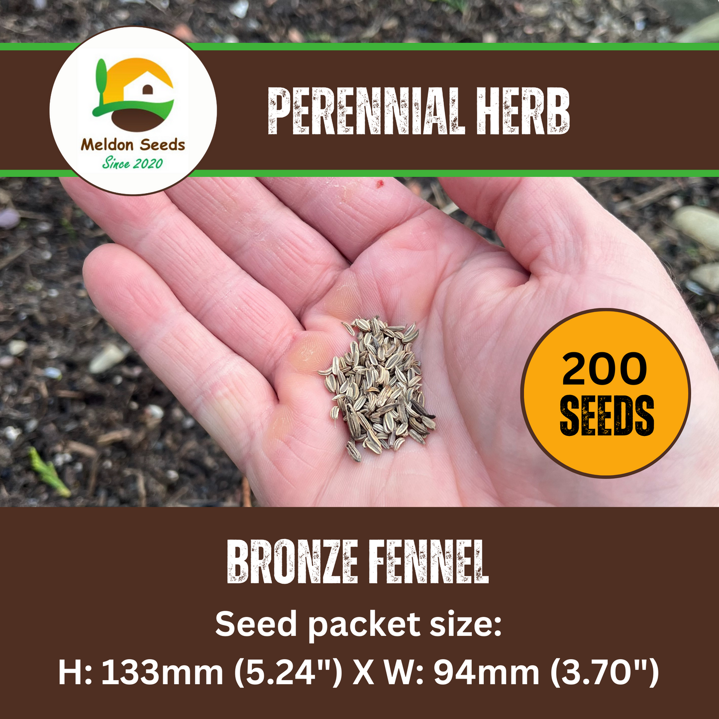 Fennel Bronze 50 Seeds
