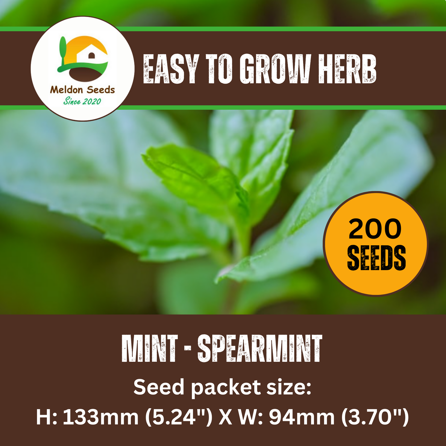 Mint Spearmint 200 Seeds