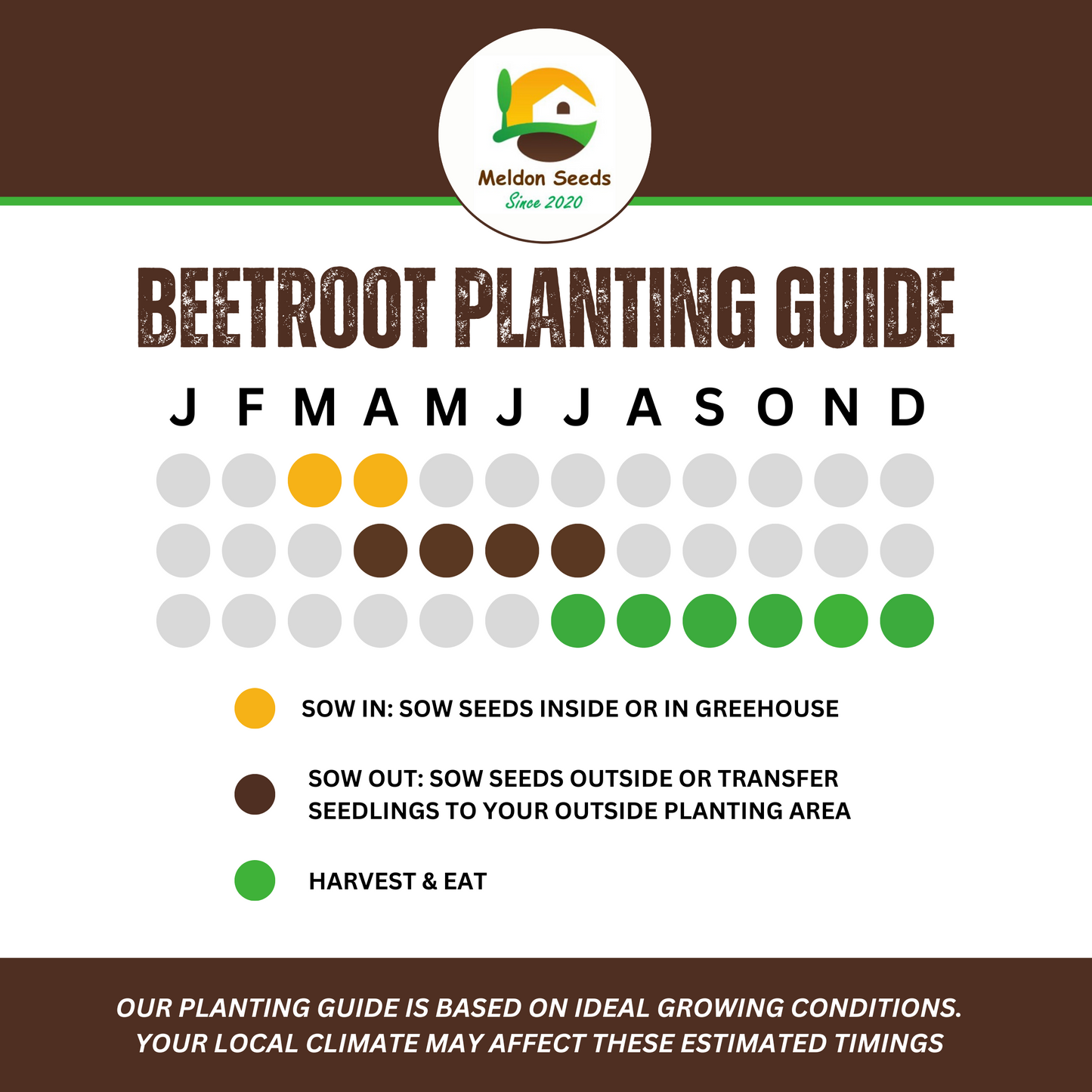 Beetroot Seeds - 200 Bona Beetroot Seeds – Plant and Grow Your Own Vegetables for Gardens, Pots & Allotments – Suitable for Indoor & Outdoor Planting – Packed in The UK by Meldon Seeds
