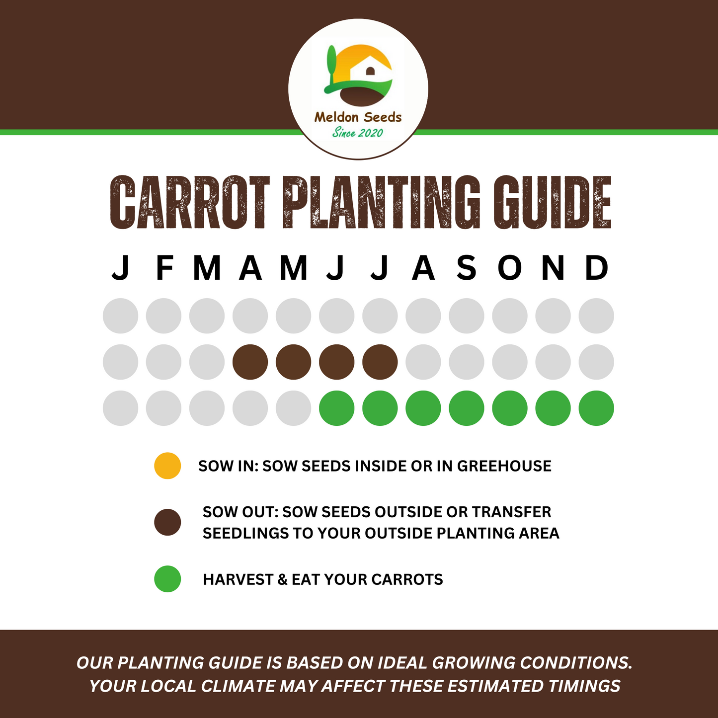 Carrot Chantenay Red Cored 1000 Seeds