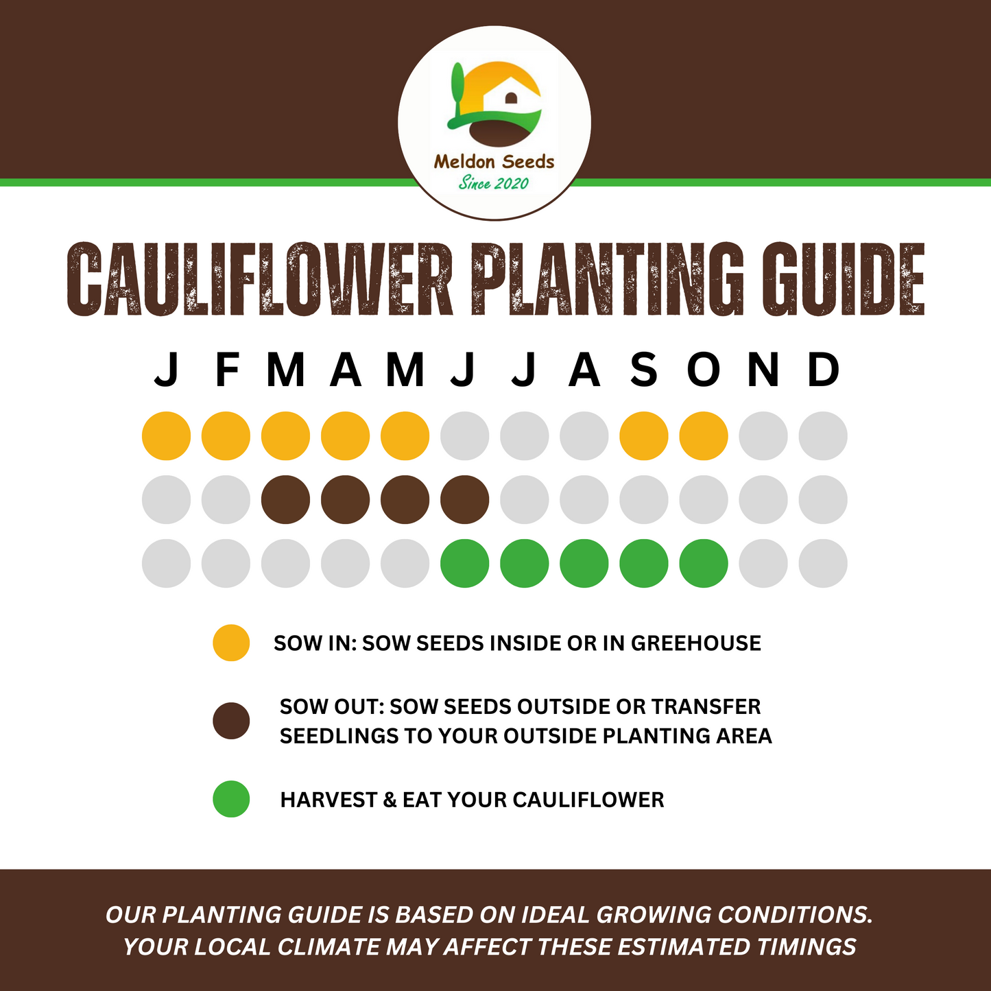 Cauliflower All Year Round 300 Seeds