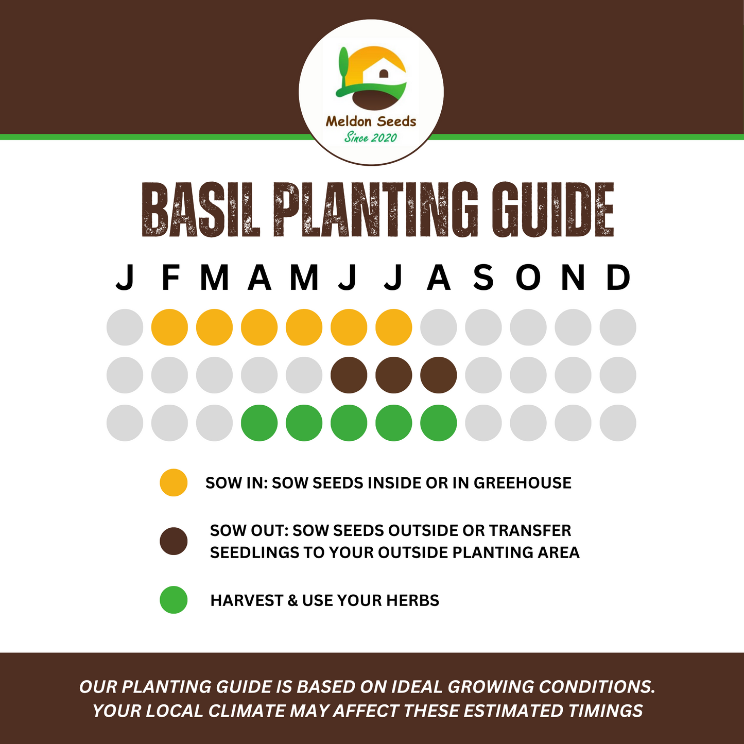 Basil British 100 Seeds