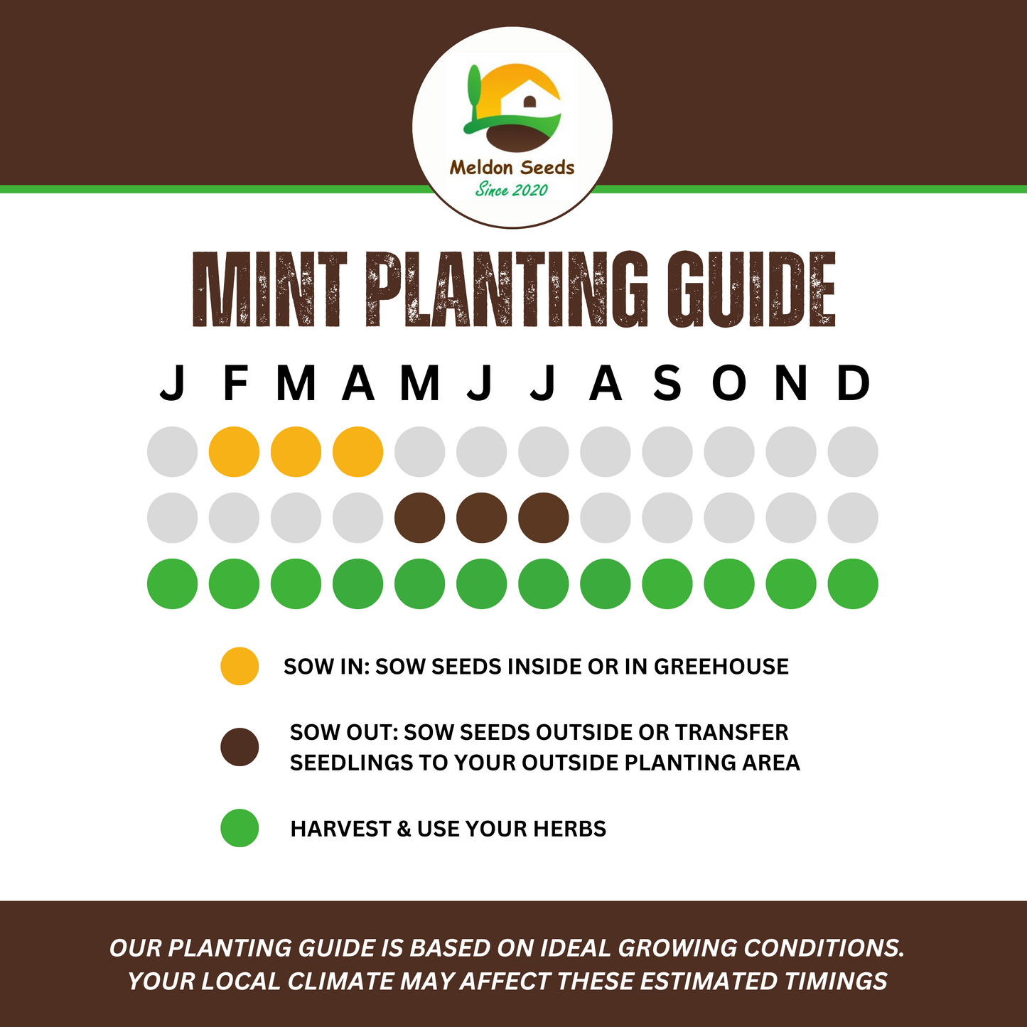 Garden Mint Seeds - 400 Fresh Herb Seeds