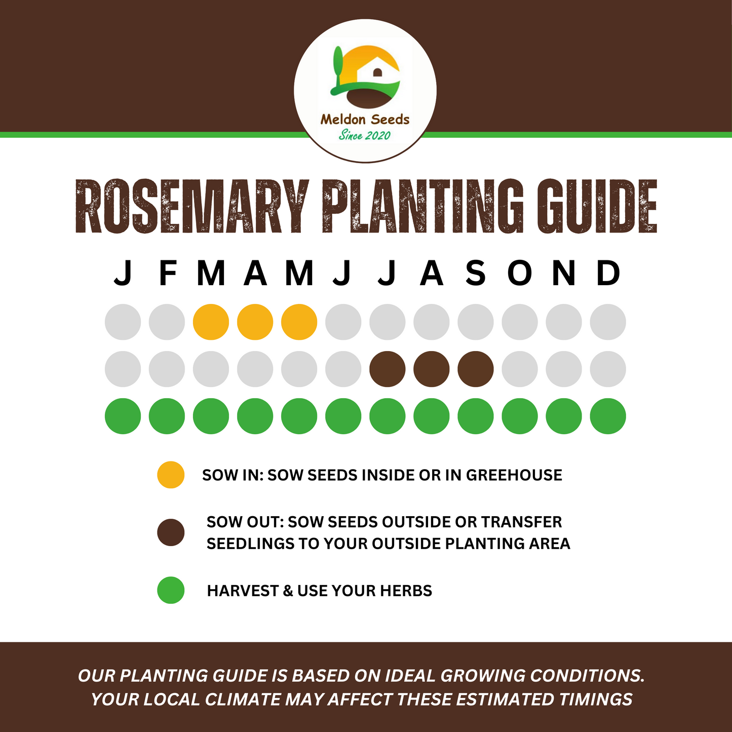 Rosemary 50 Seeds