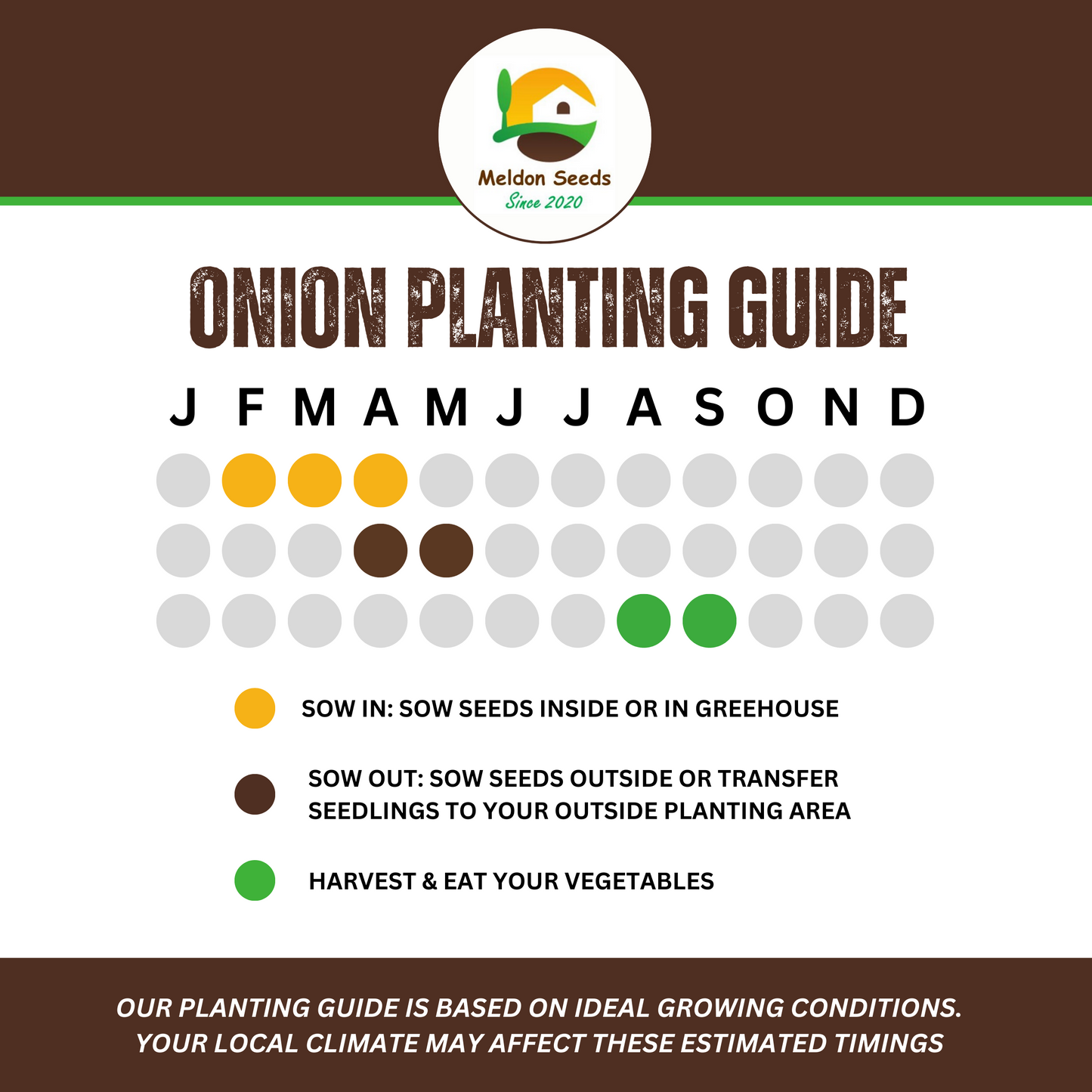 Onion Armstrong F1 140 Seeds