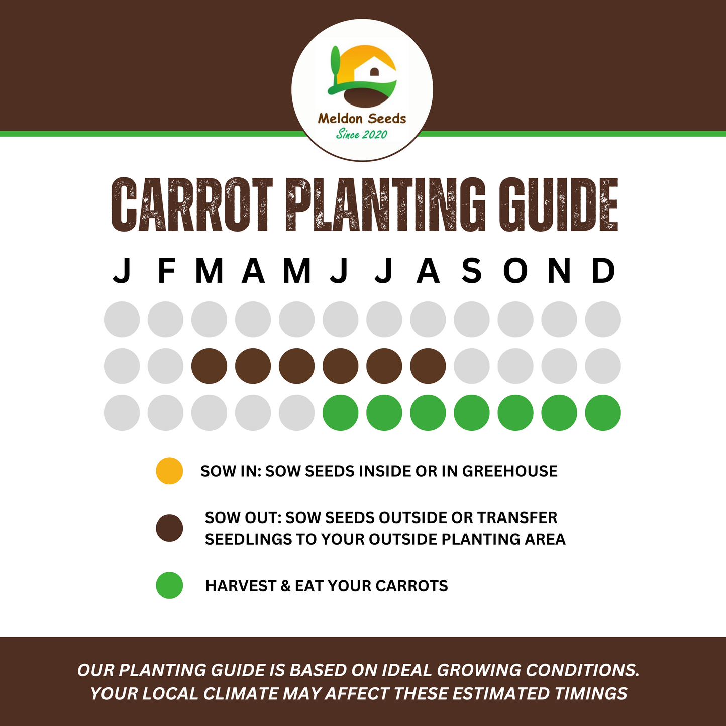 Organic Carrot Early Nantes 1000 Seeds