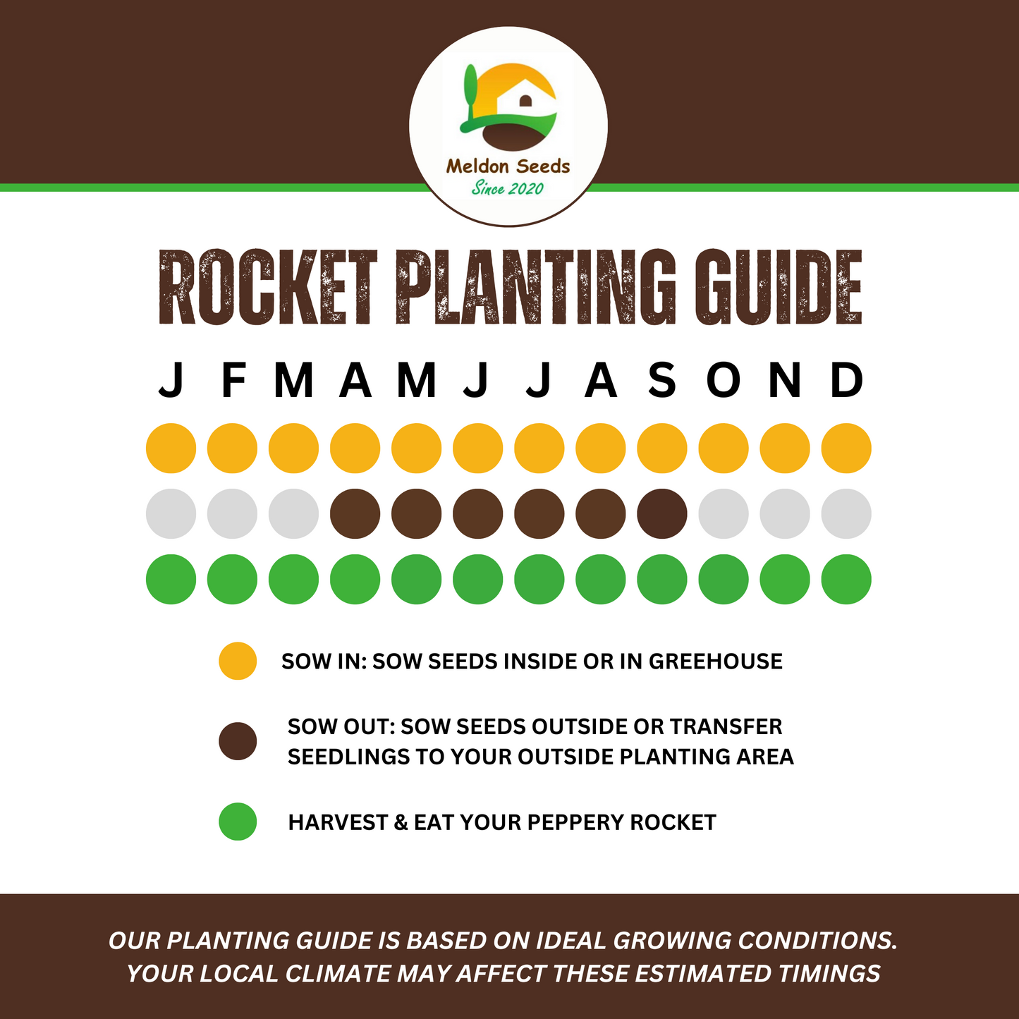 Wild Rocket 500 Seeds