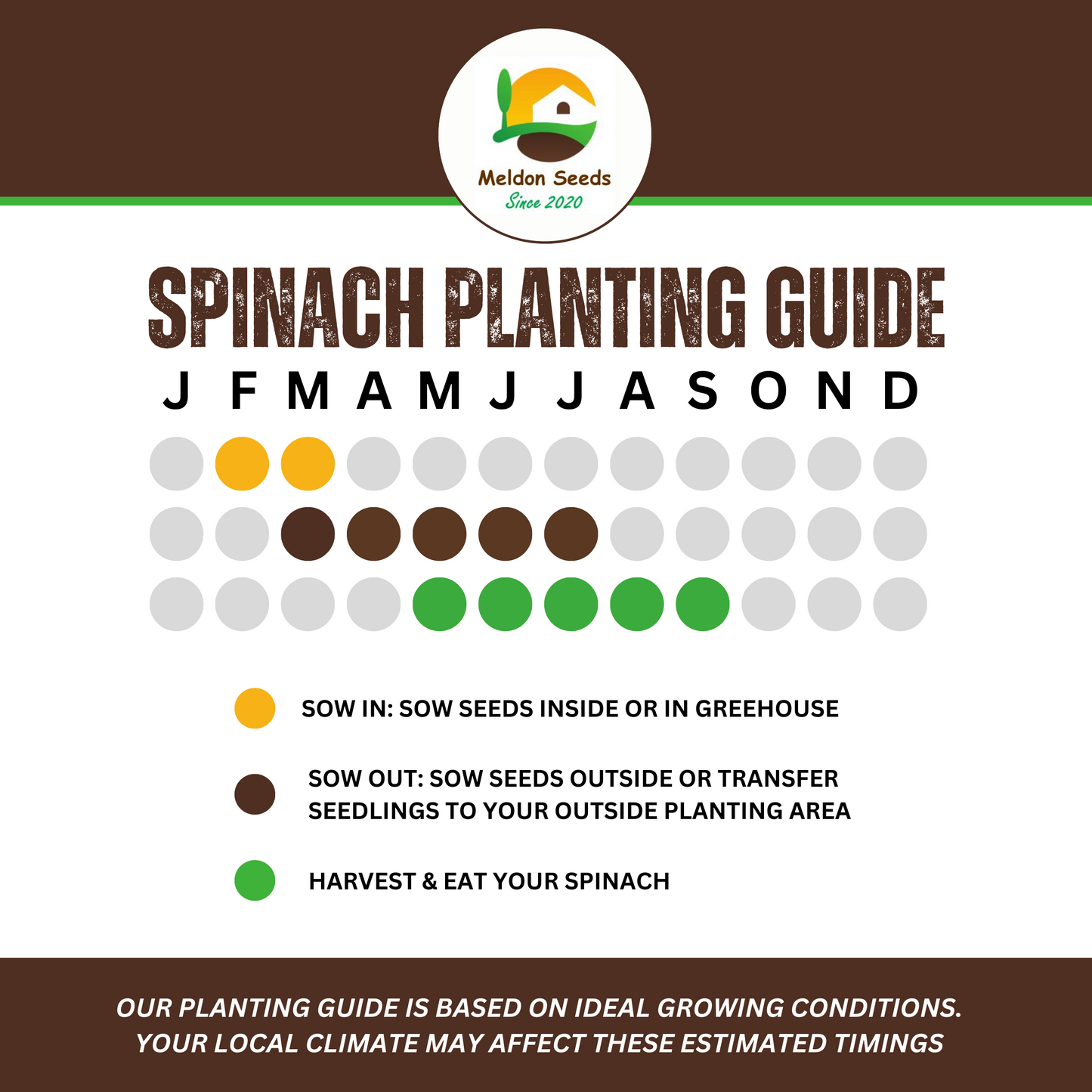 Spinach Medania 150 Seeds