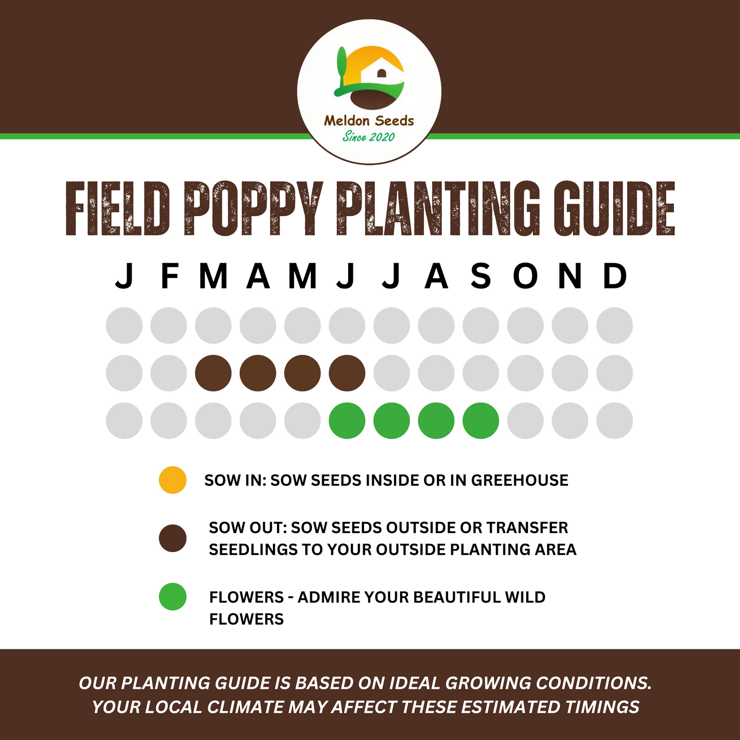 Red Field Poppy Seeds - 2000 Native UK Wild Flower Seeds for Attracting Bees, Pollinators, Also known as Flanders Poppy, Suitable for Planting and Growing Outdoors in Meadows, Fields, Gardens and Borders