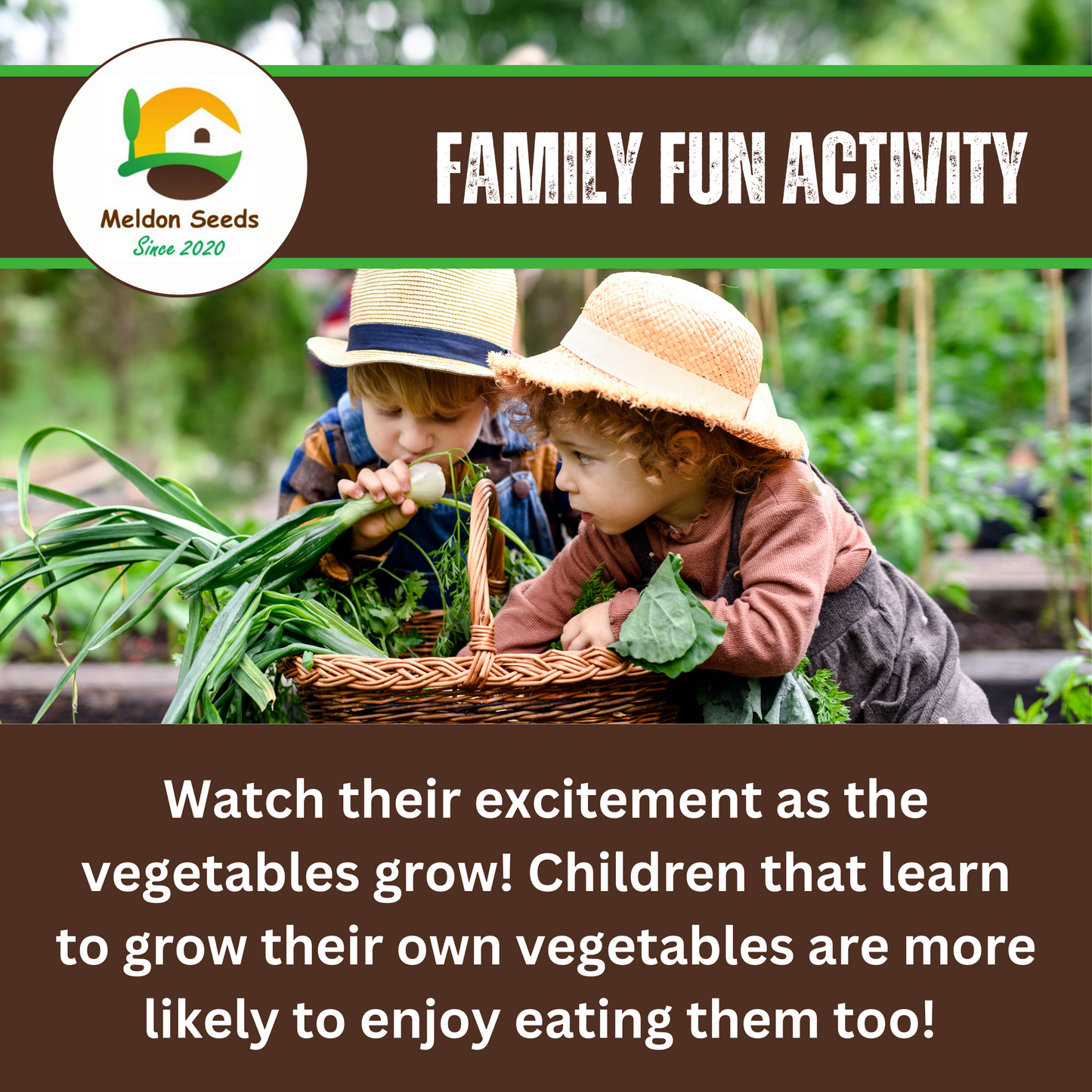 Wild Rocket 500 Seeds