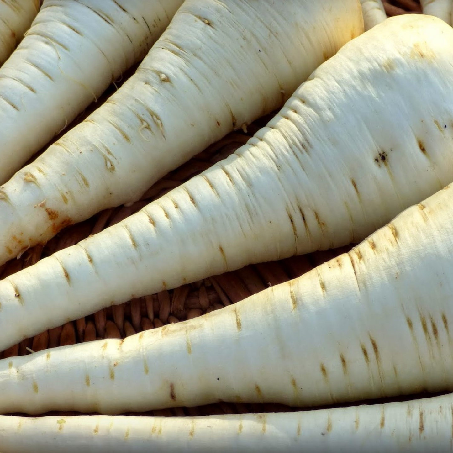 Winter Hardy Vegetable Collection. 6 Easy to Grow Hardy Vegetable Varieties