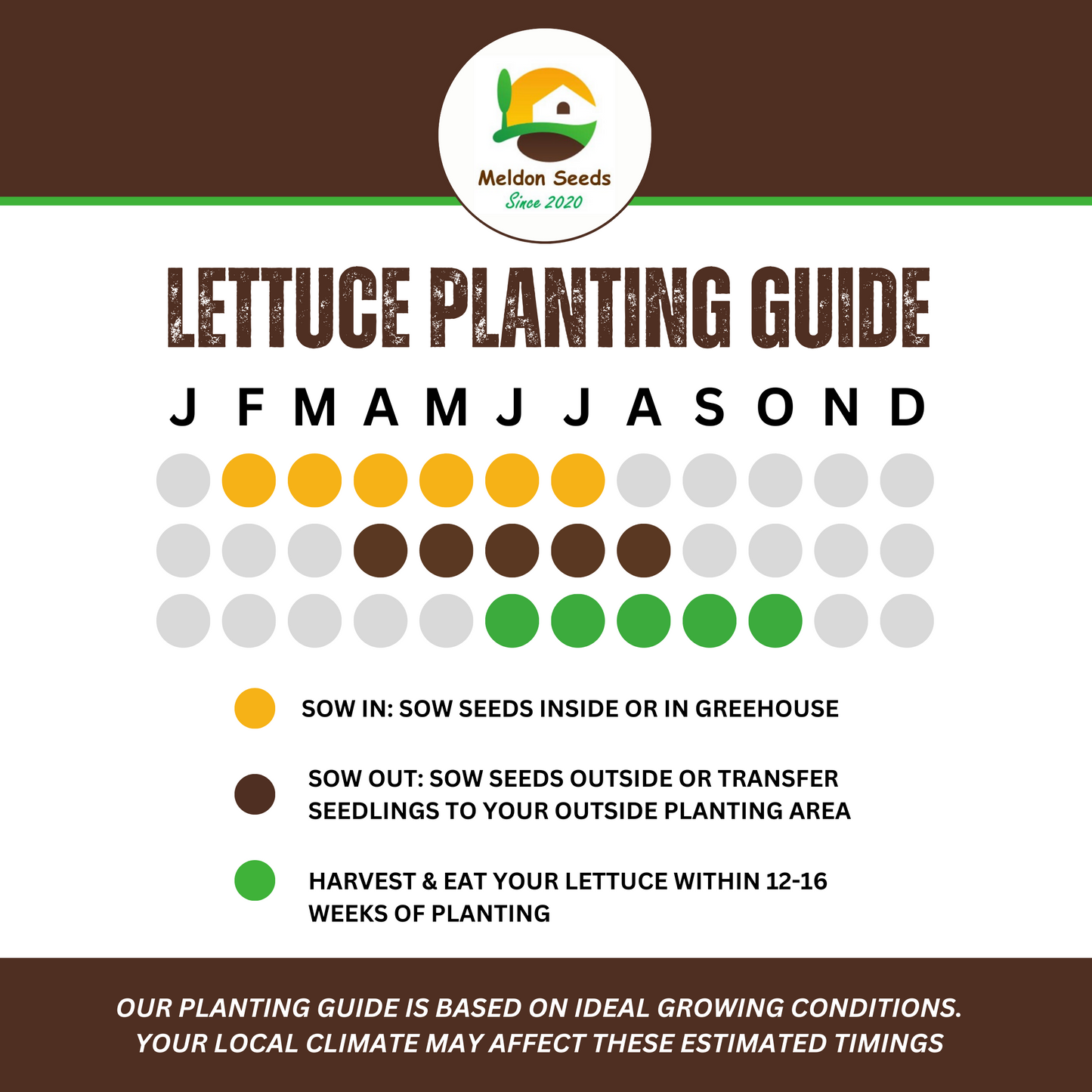 Vegetables Garden Starter Collection. 6 Easy to Grow Vegetable Varieties