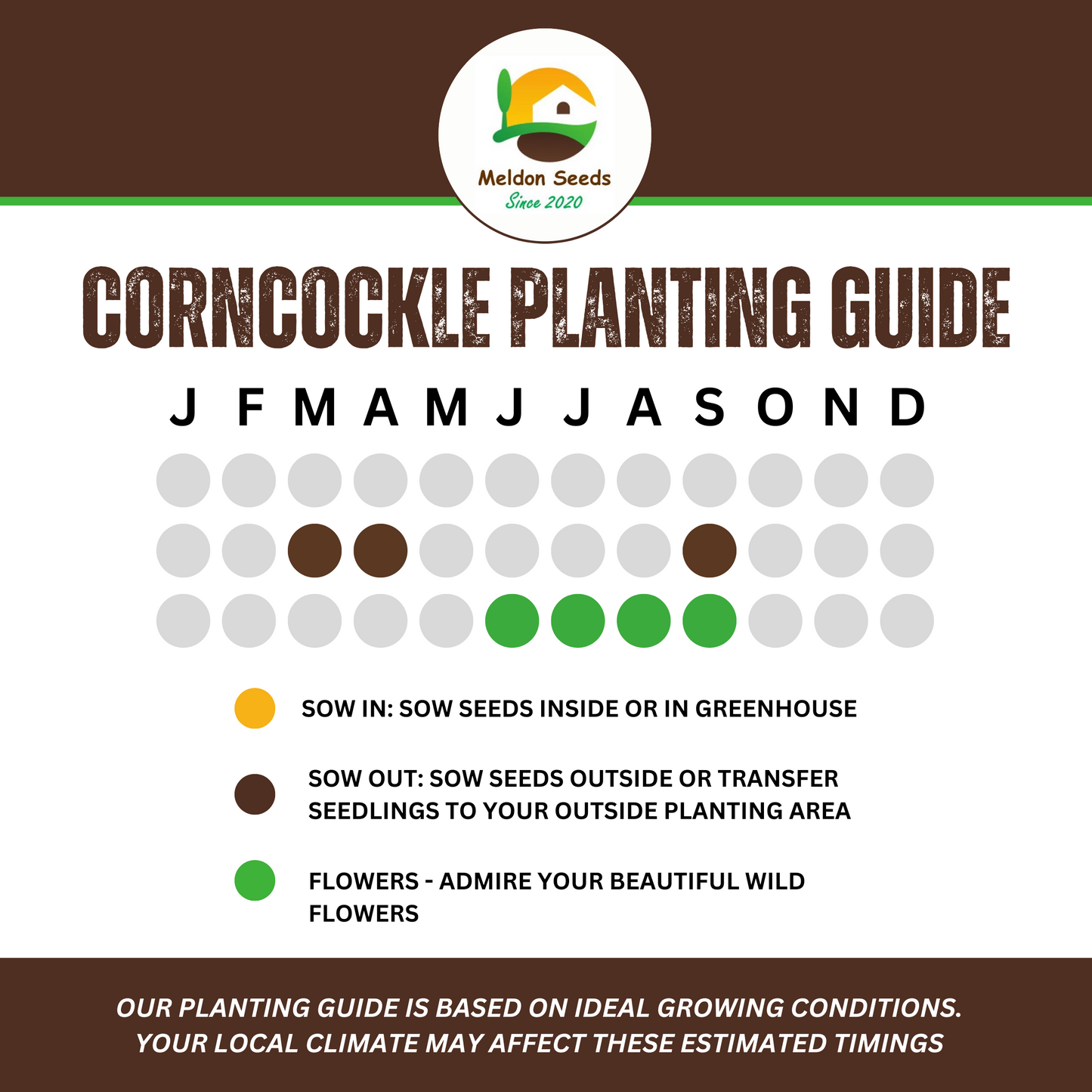 Wildlife Attracting Collection. 5 Native Wild Flower Varieties