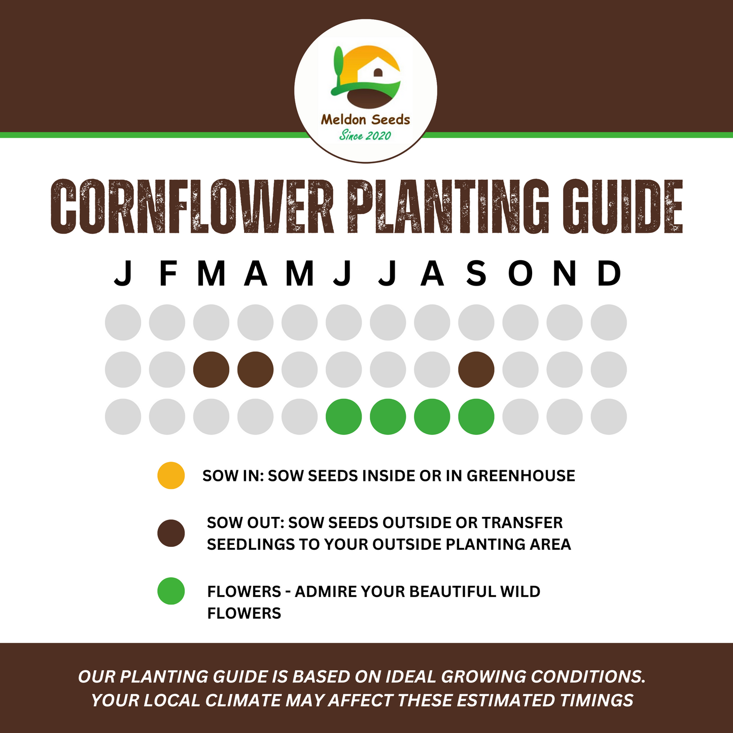 Wildlife Attracting Collection. 5 Native Wild Flower Varieties