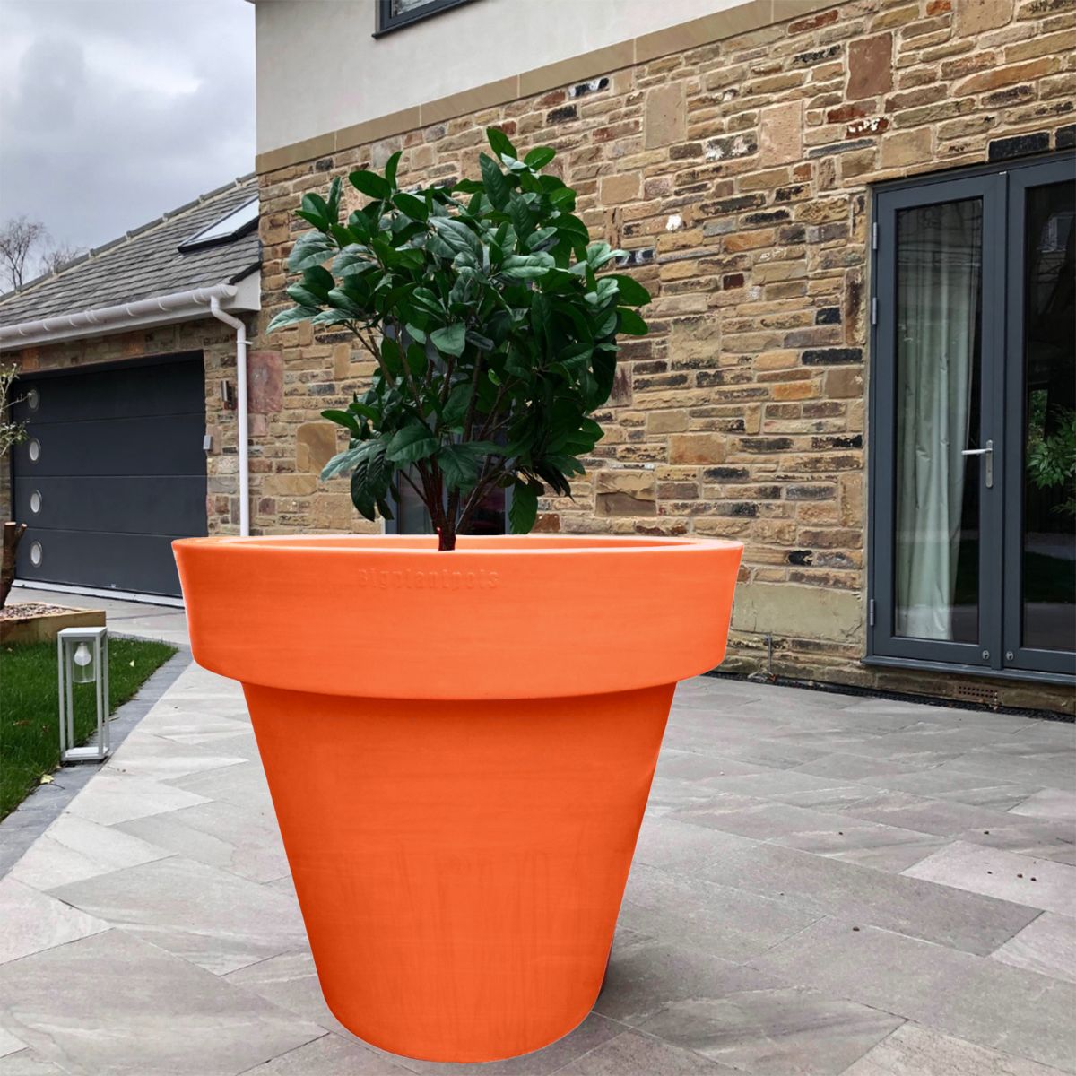 The 'Biggie' Plant Pot