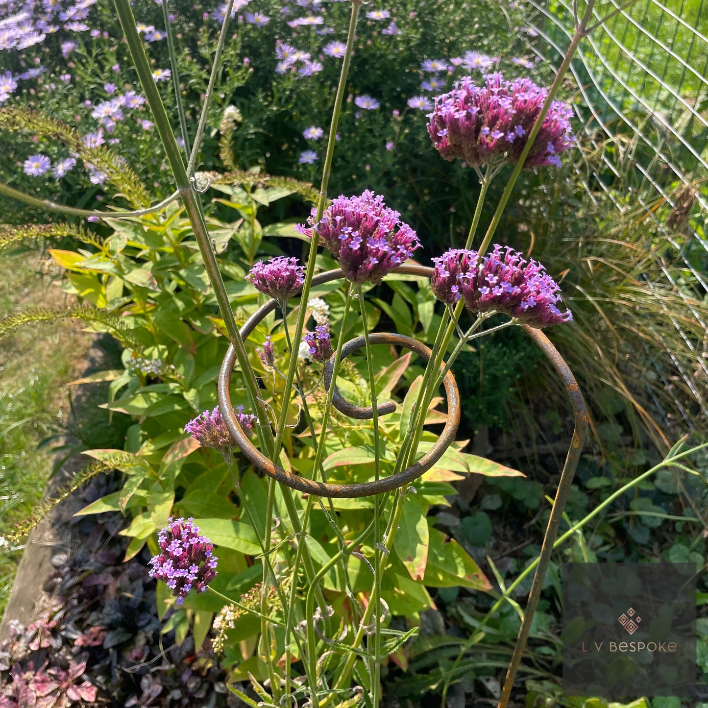 Pig Tail Plant Support
