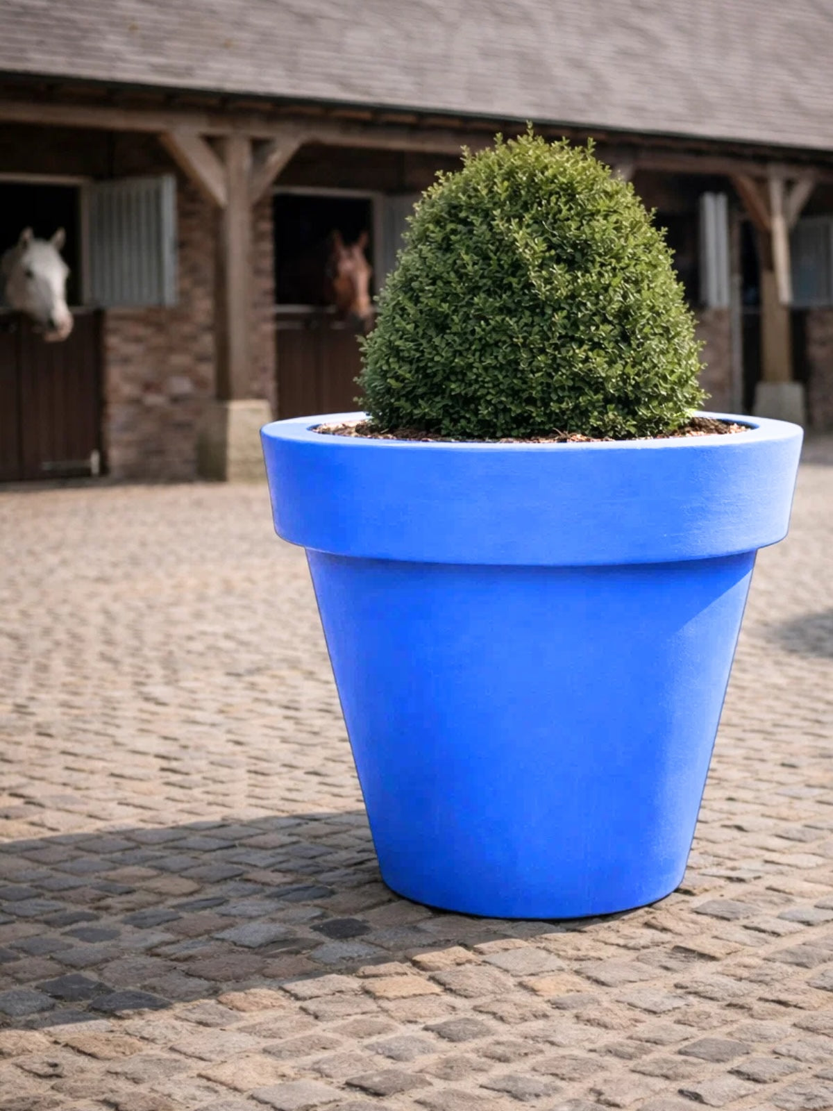 The 'Tubby' Plant Pot