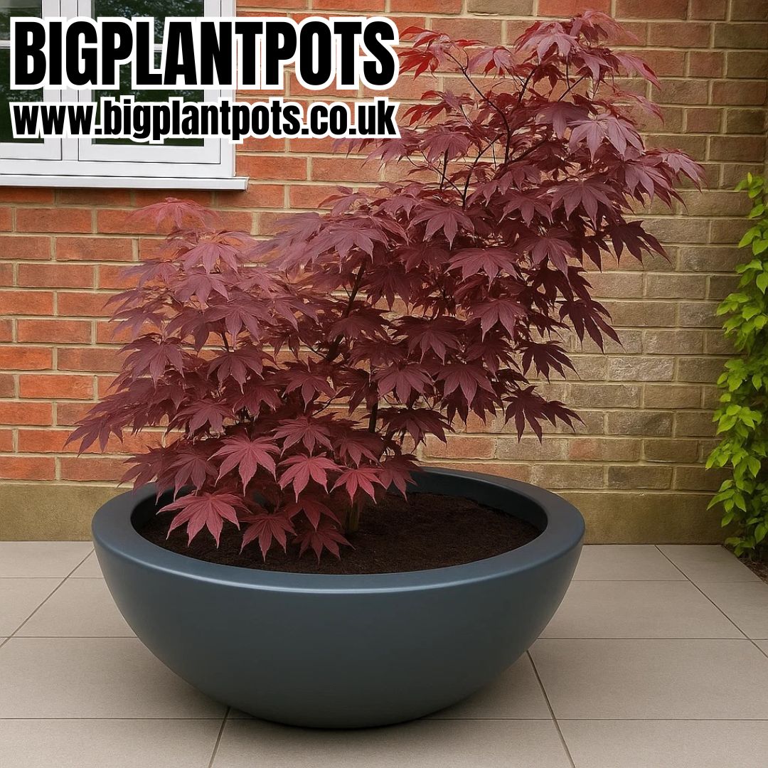 The 'Curvy' Plant Pot - 120cm Wide