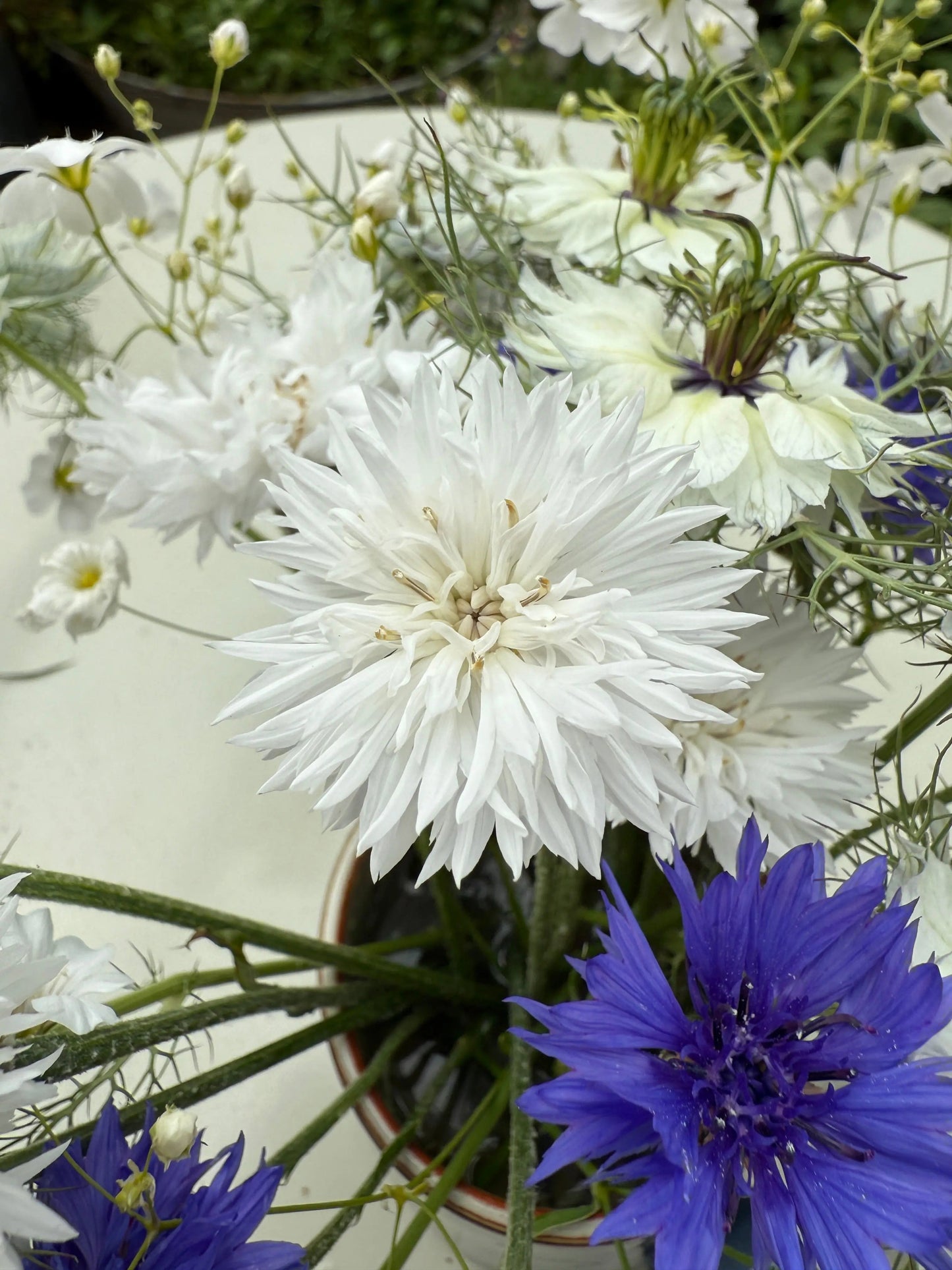 Cornflower Snowman