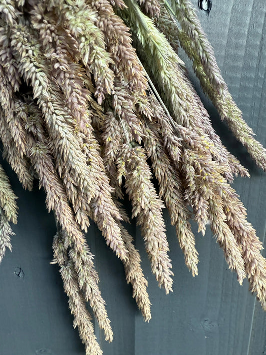 Grass Mixed Dried