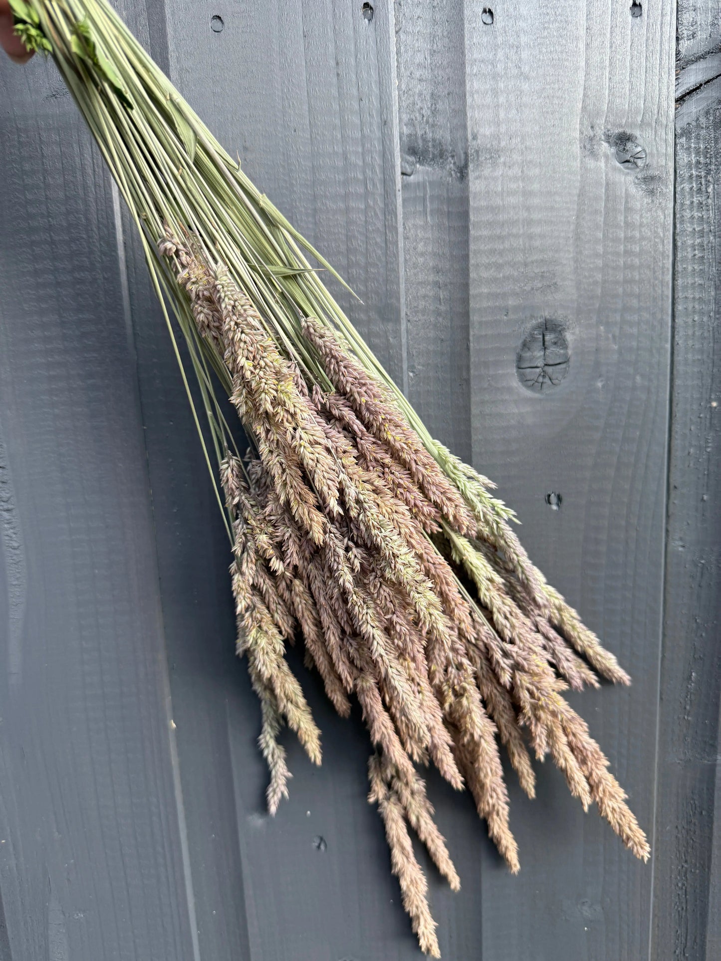 Grass Mixed Dried