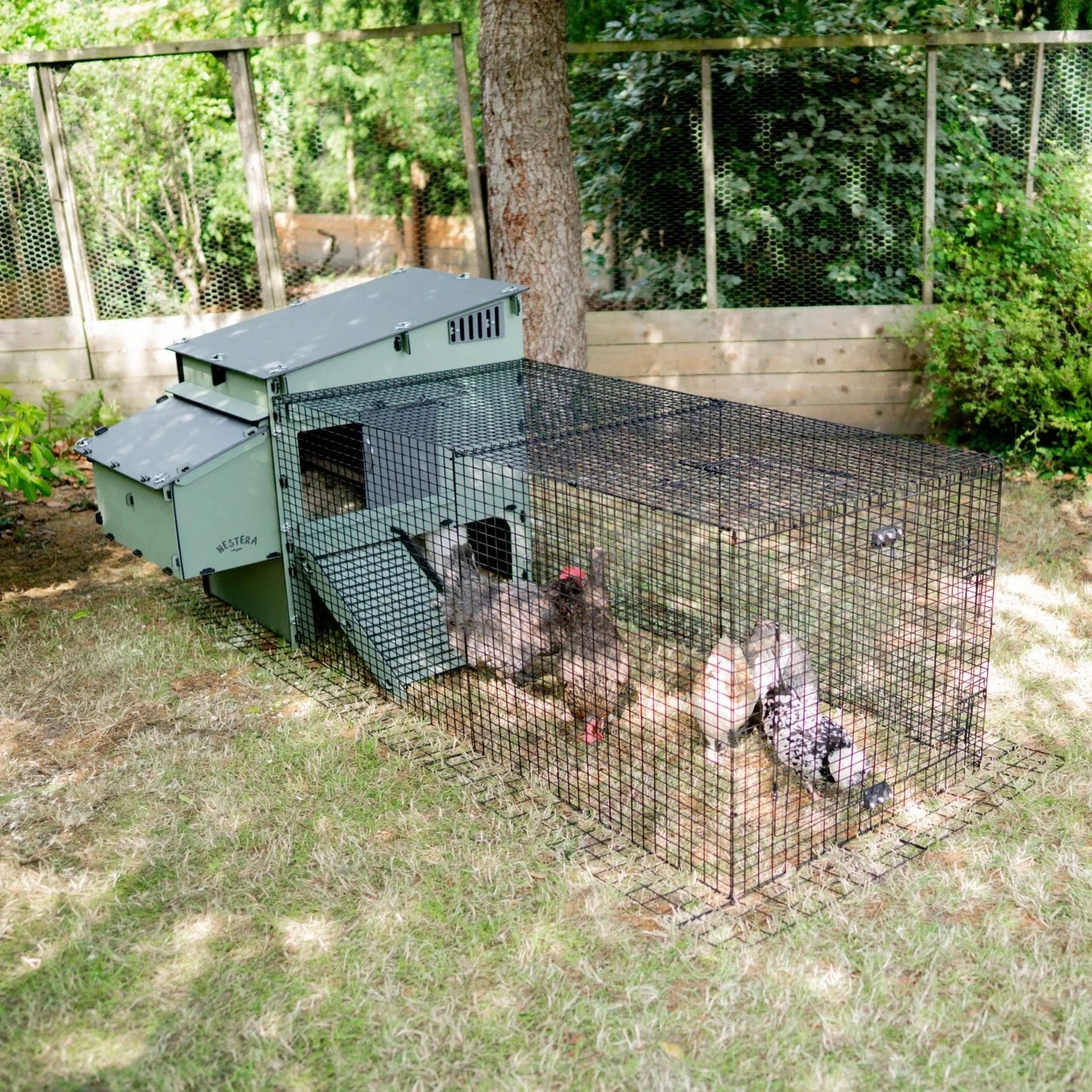 Nestera Aspen 10 Chicken coop for up to 10-13 medium sized Birds
