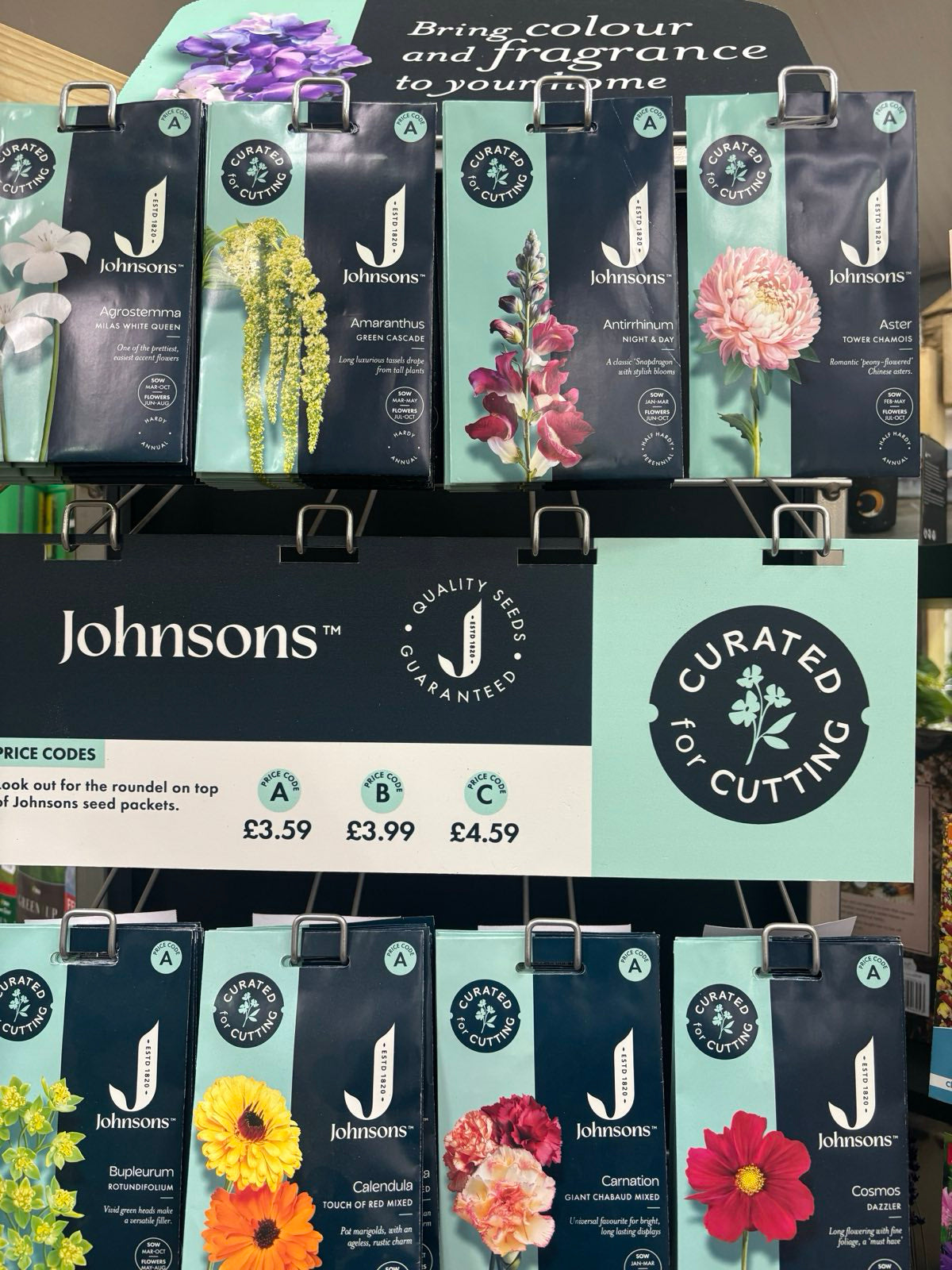 spring flowering seeds and bulbs at sturmer garden centre